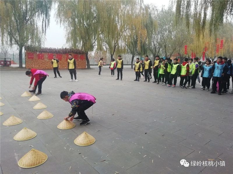 今年11月份綠嶺核桃小鎮(zhèn)迎來主題教育又一高峰期